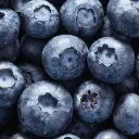 arandanos.webp