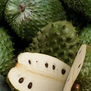 guanabana.webp