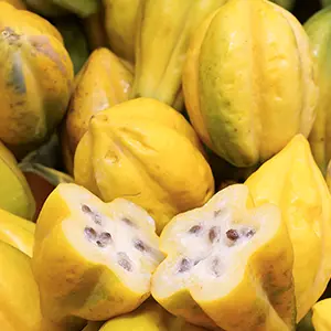 papayuela.webp