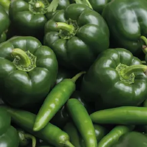 pimenton y jalapeño.webp